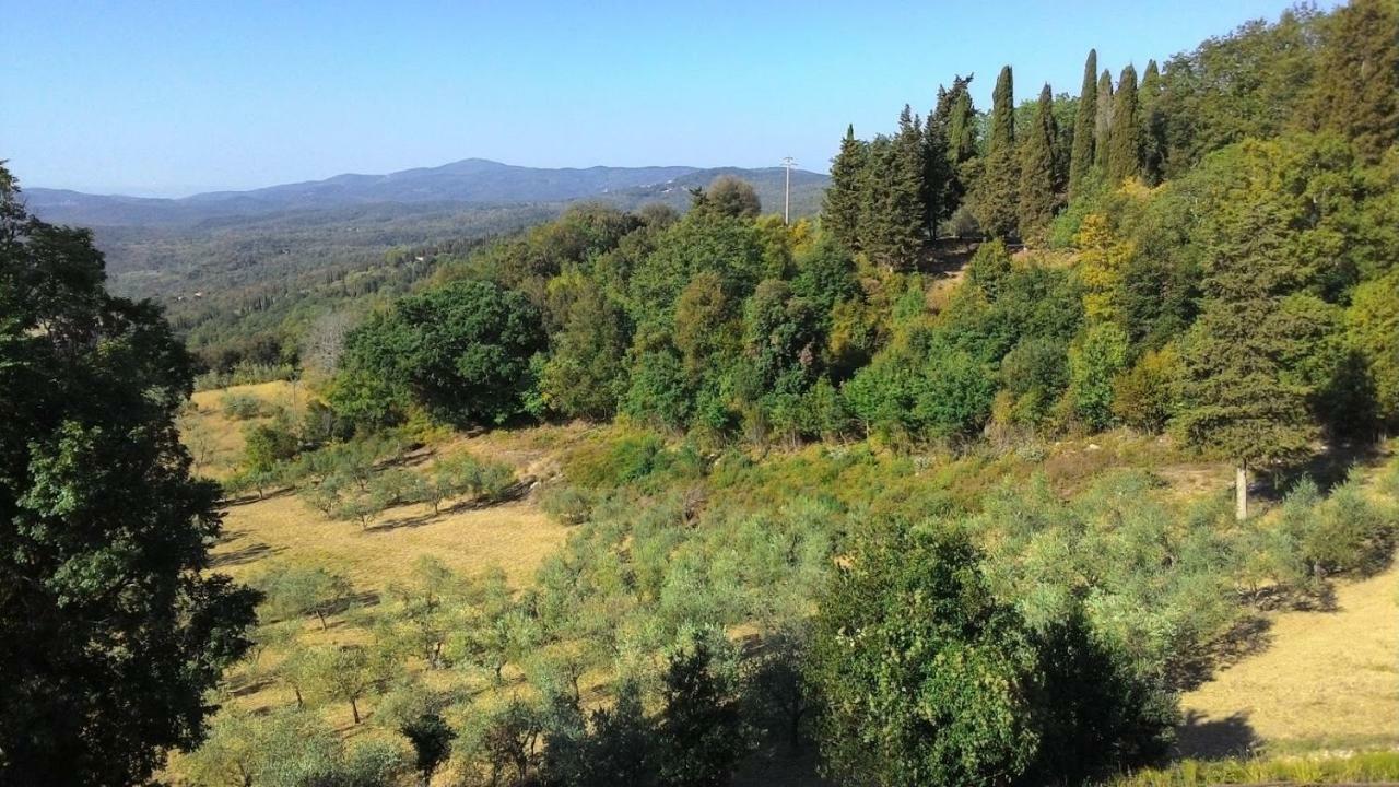 La Casa Dei Sogni Lägenhet Monteverdi Marittimo Exteriör bild
