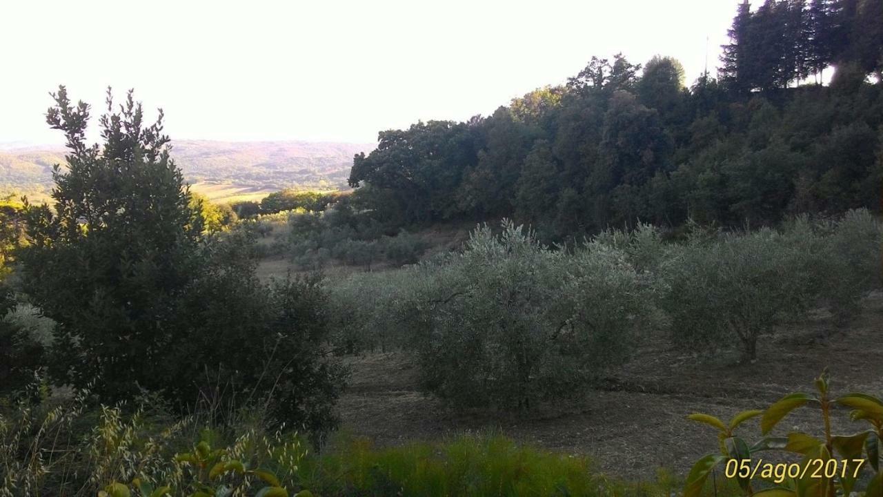 La Casa Dei Sogni Lägenhet Monteverdi Marittimo Exteriör bild