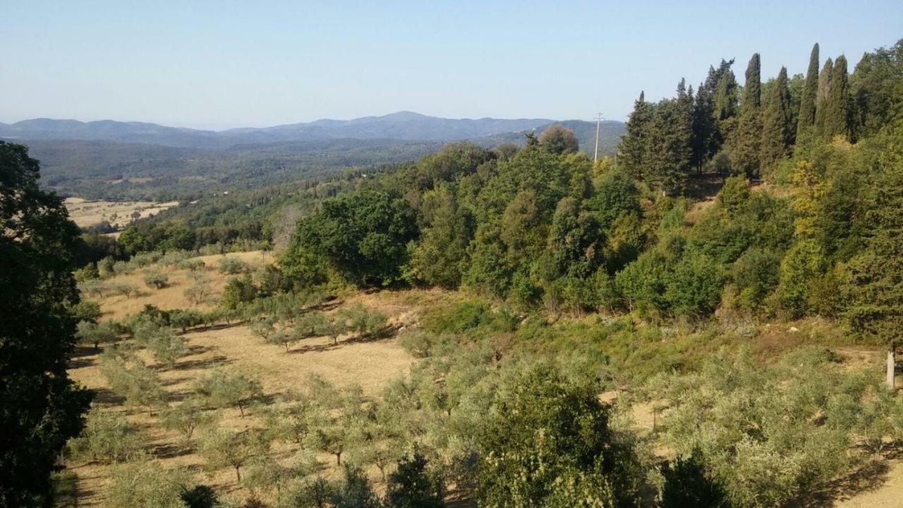 La Casa Dei Sogni Lägenhet Monteverdi Marittimo Exteriör bild